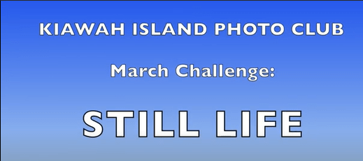 2024 March Challenge STILL LIFE