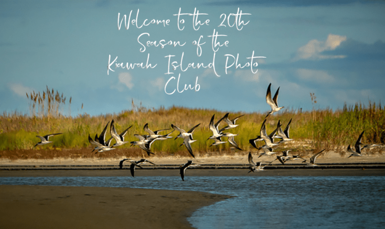 2025 welcome new season