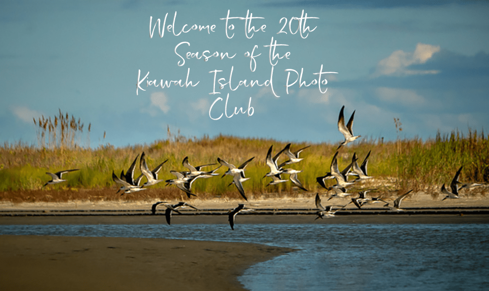 2025 welcome new season