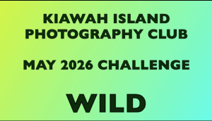26 04 20 Challenge WILD