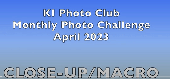 April 2023 Challenge Thumbnail