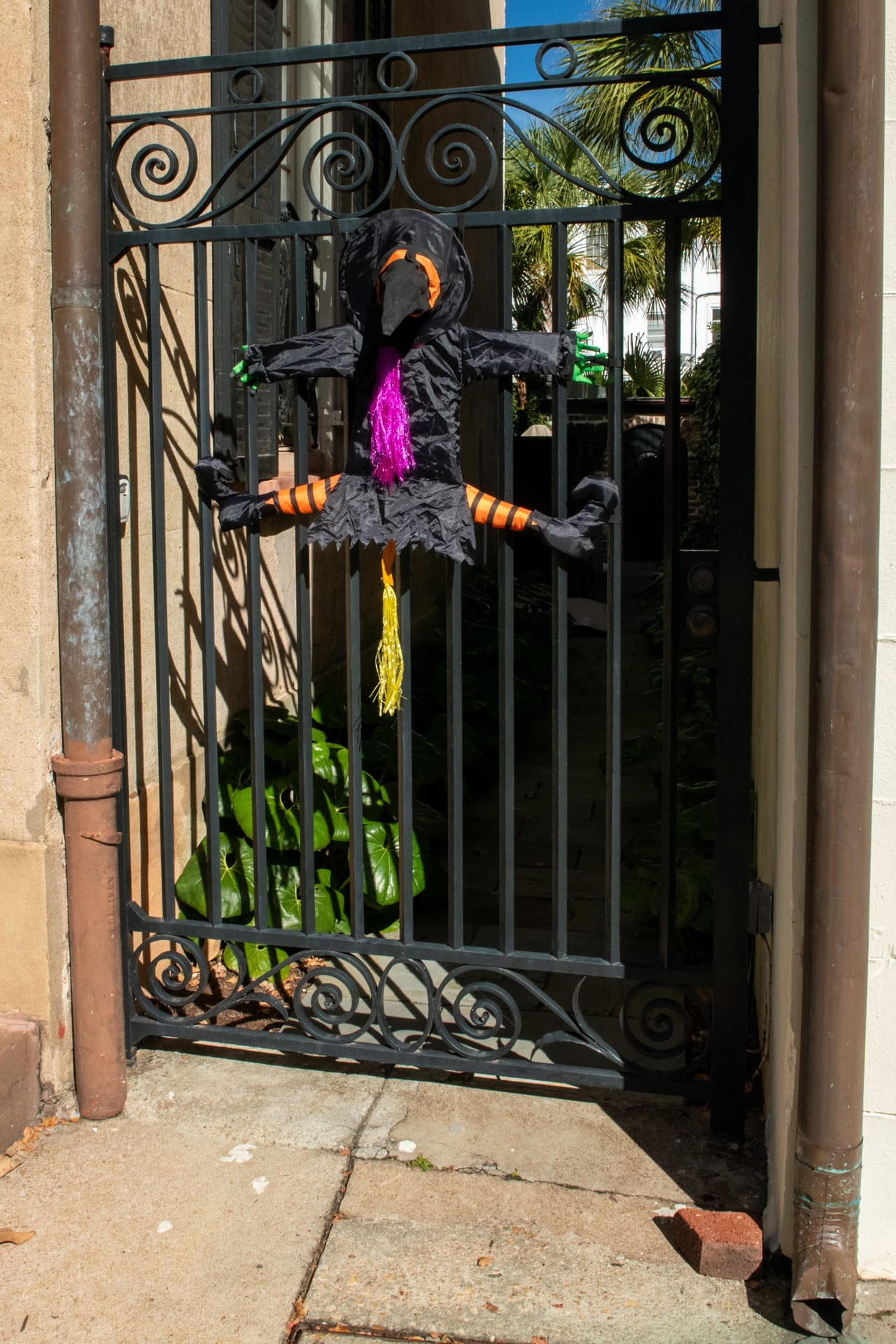 B. Davis Halloween Gate