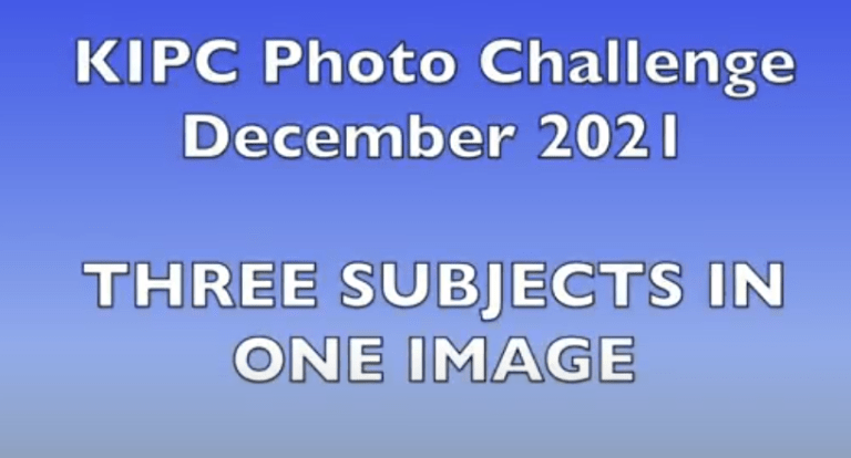 Challenge 3 Subjects, 1 Image