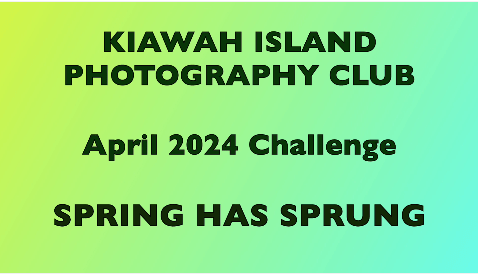 Challenge SPRING HAS SPRUNG thumbnail