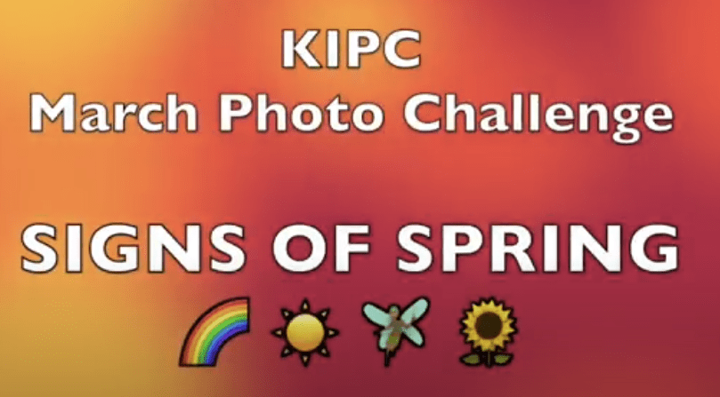 March 2021 Challenge – Signs of Spring – Kiawah Island Photography Club