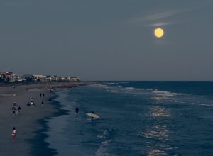 Cindy Perry IMG 9237