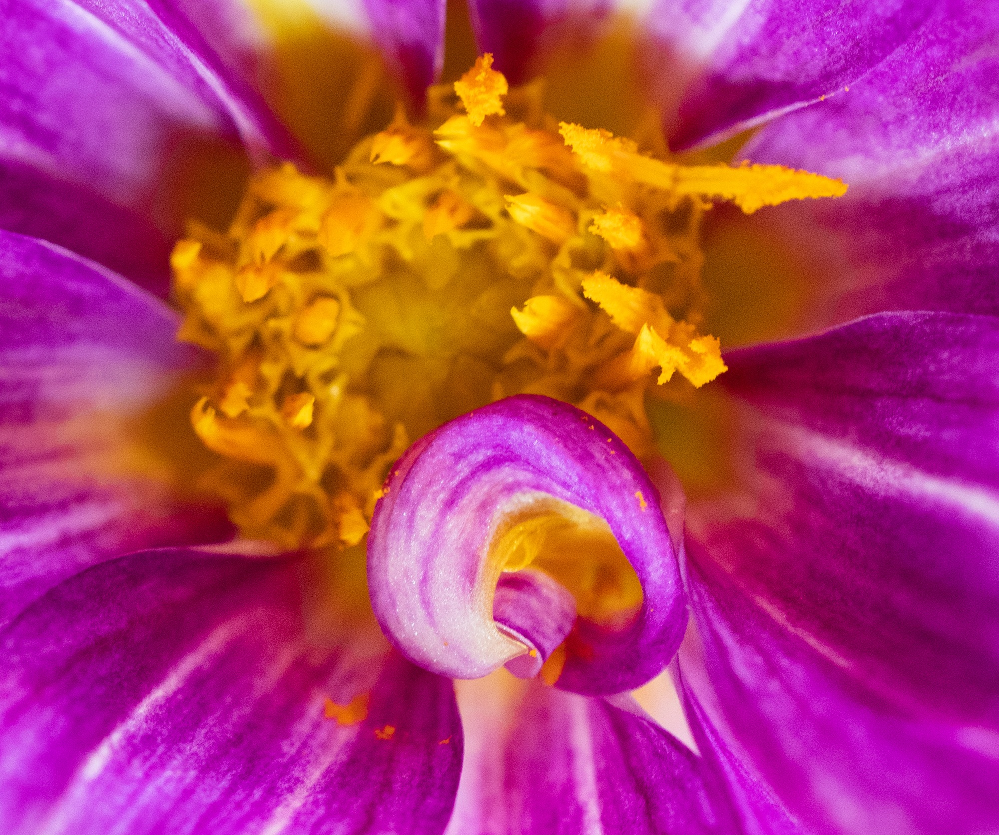 Here we are together