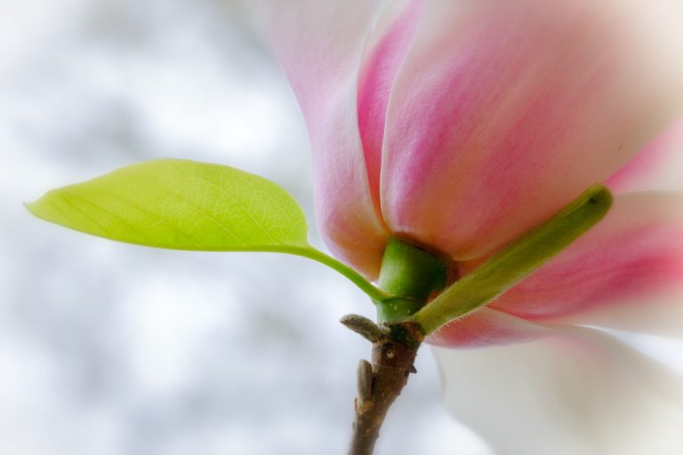 Jack Kotz (Medium) (1)