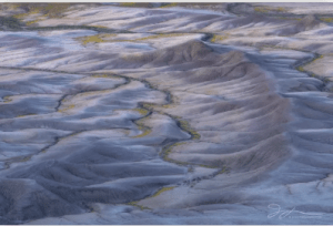 Jennifer Renwick thumbnail