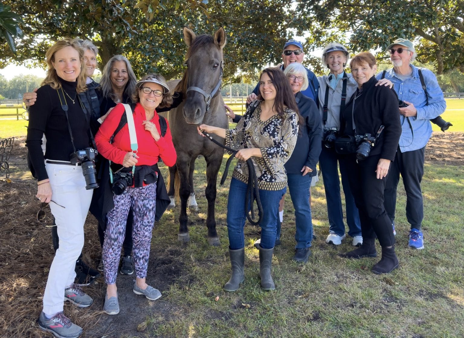 Gallery Seabrook Equestrian Center Horse Portraits Kiawah Island