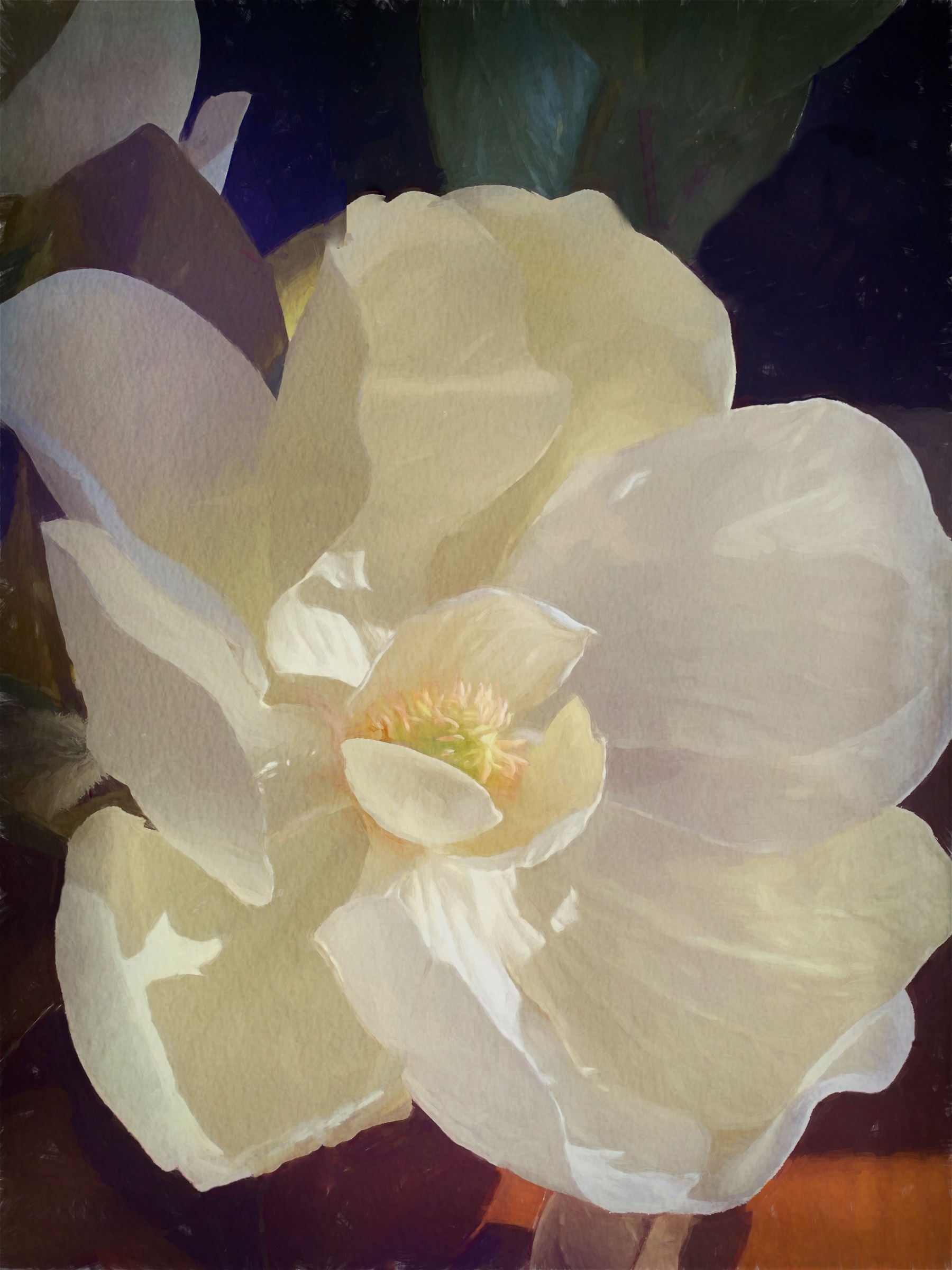 Jeri Mearns - Magnolia Blossom