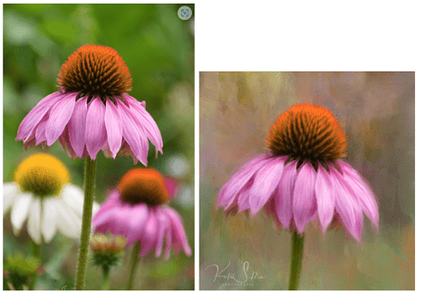 Kate Sylvia ProCreate 2