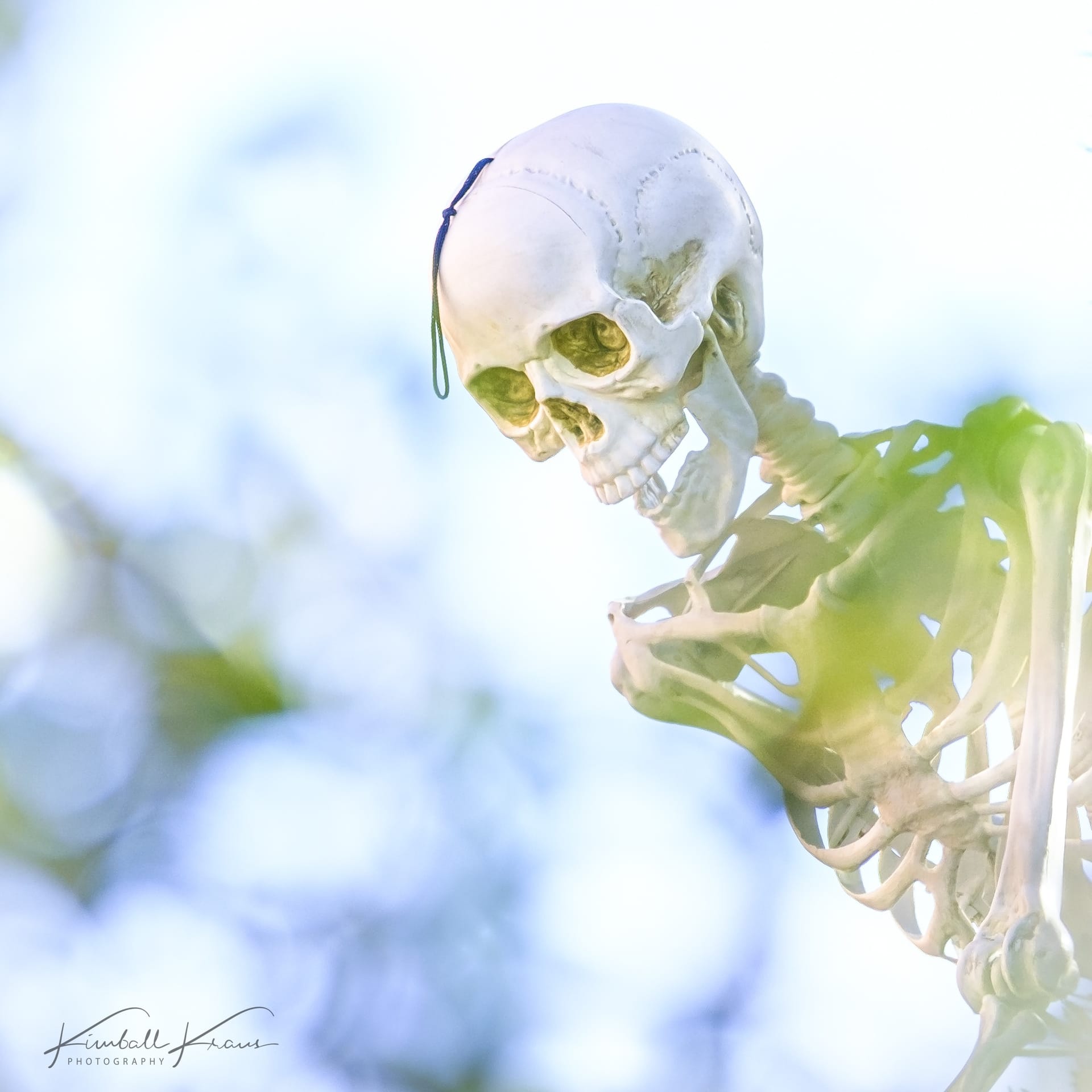 Krause 2023 10 23 DSCF0481