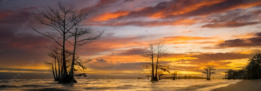 Lake Moultrie pano
