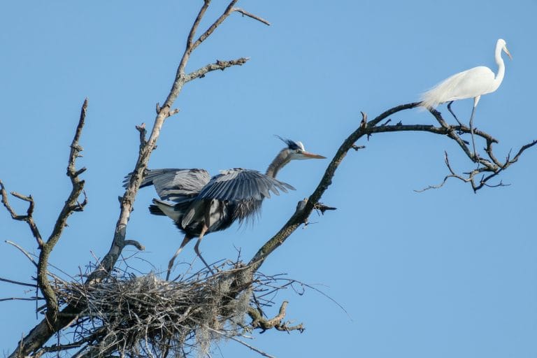 Linda Albus DSCF2693