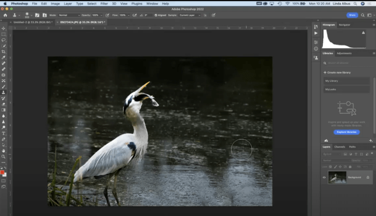 Linda Photoshop for LR Users thumbnail