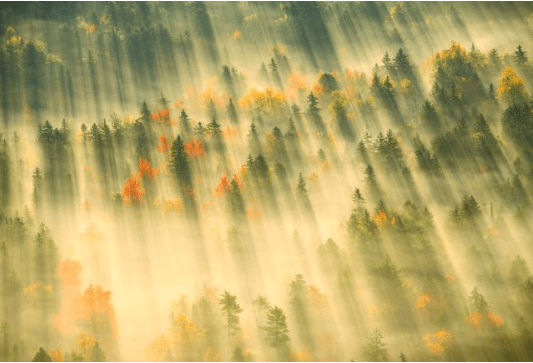 Michael Melford thumbnail