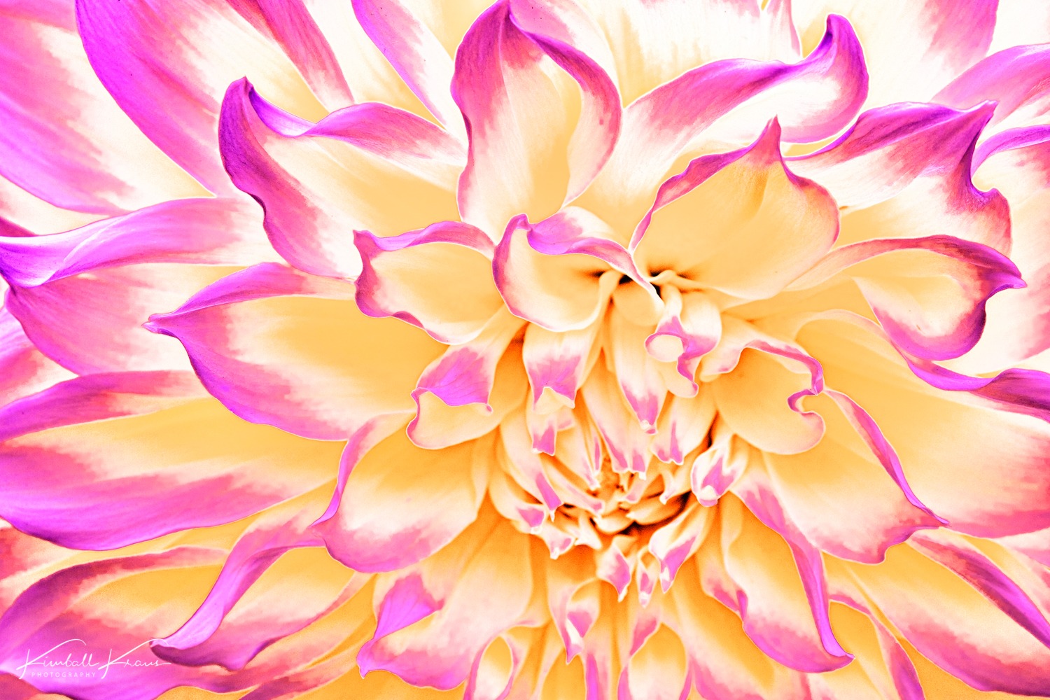 NY-2021-09-21-DSCF2396-Edit-Edit