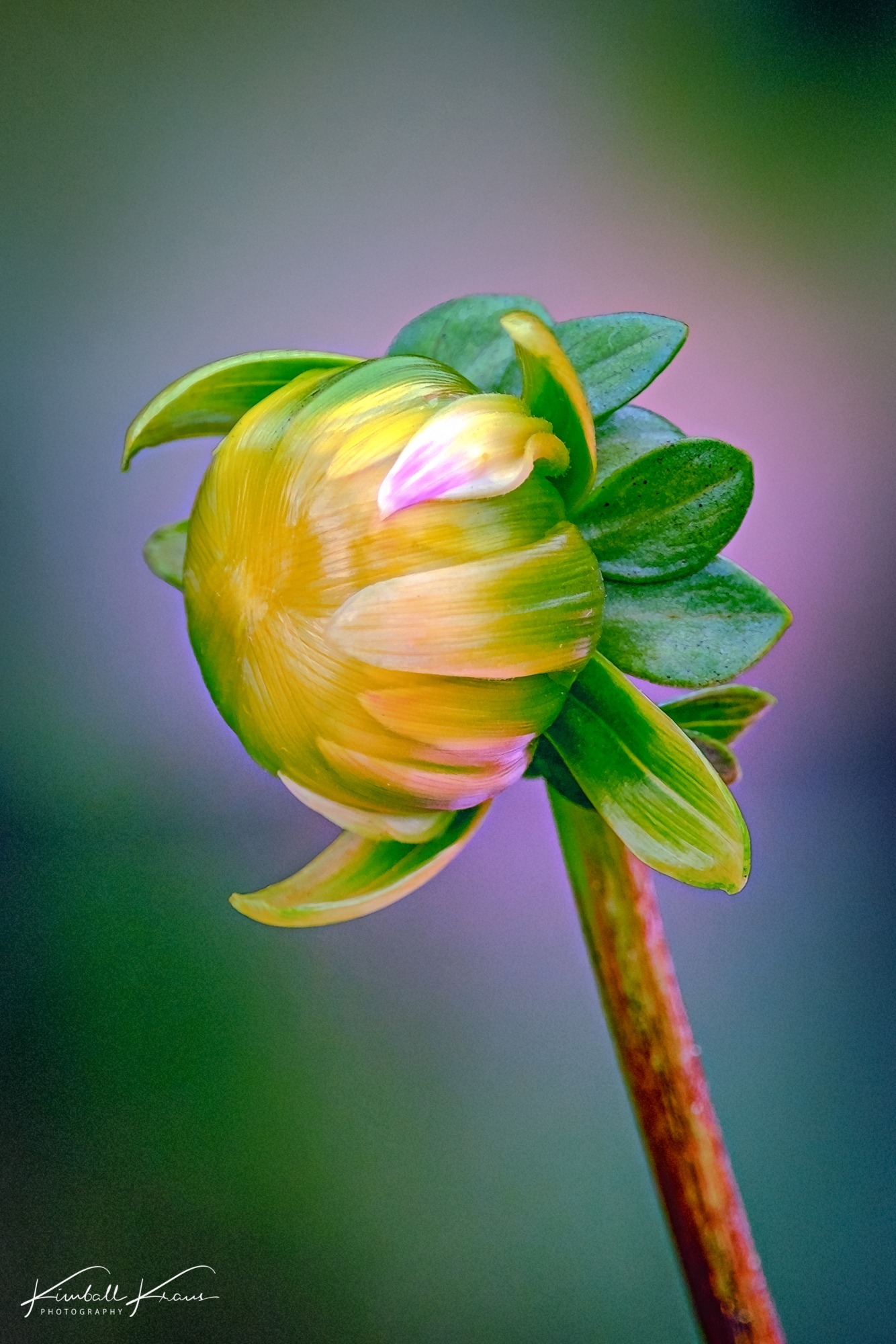 NY-2021-09-21-DSCF2430-Edit-2-Edit-Edit