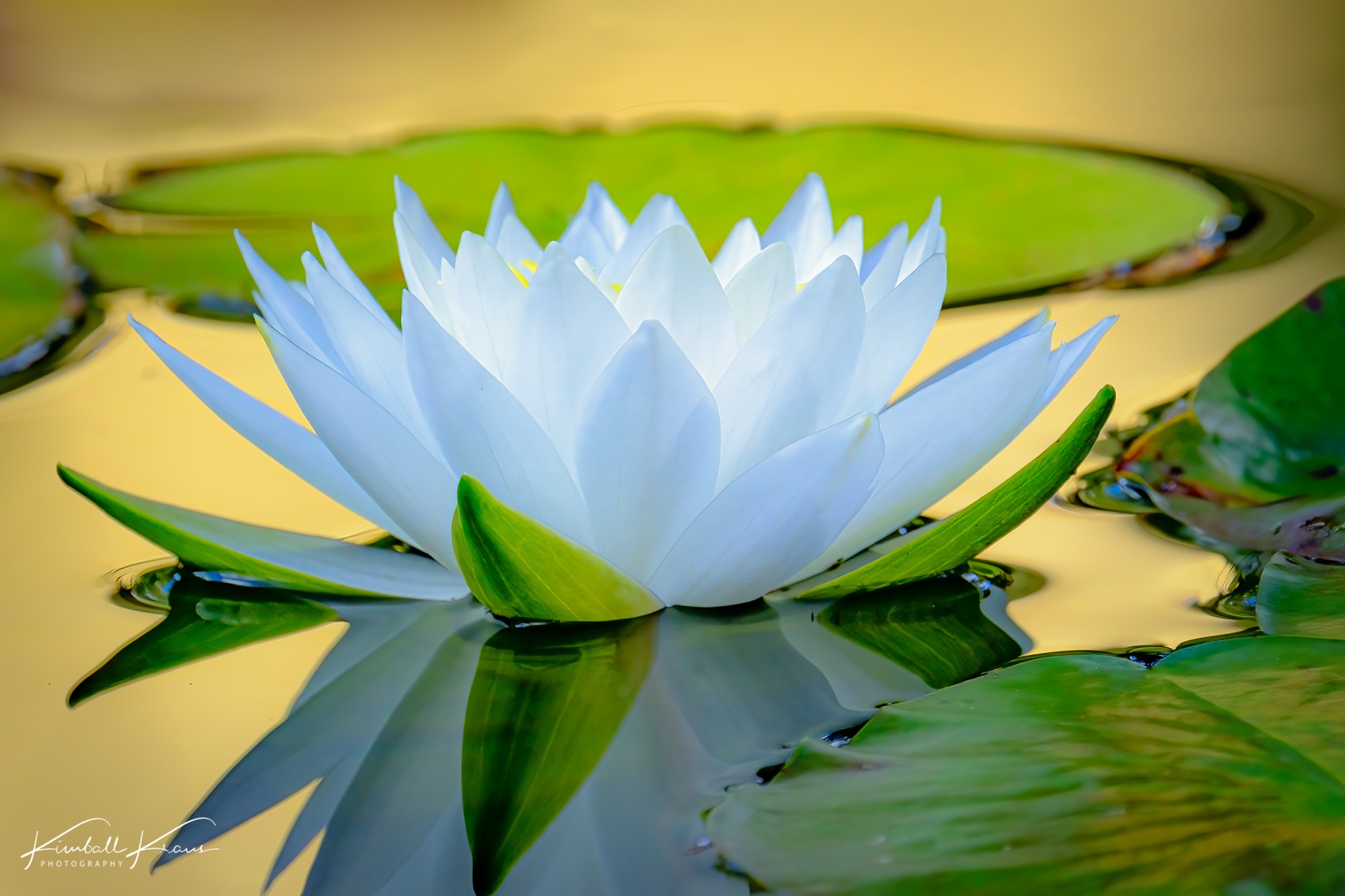 NY-2021-09-26-DSCF2639-Edit-2