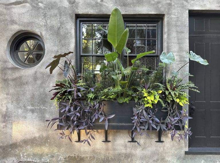 Nima Marsh Img 2262 Nimamarsh