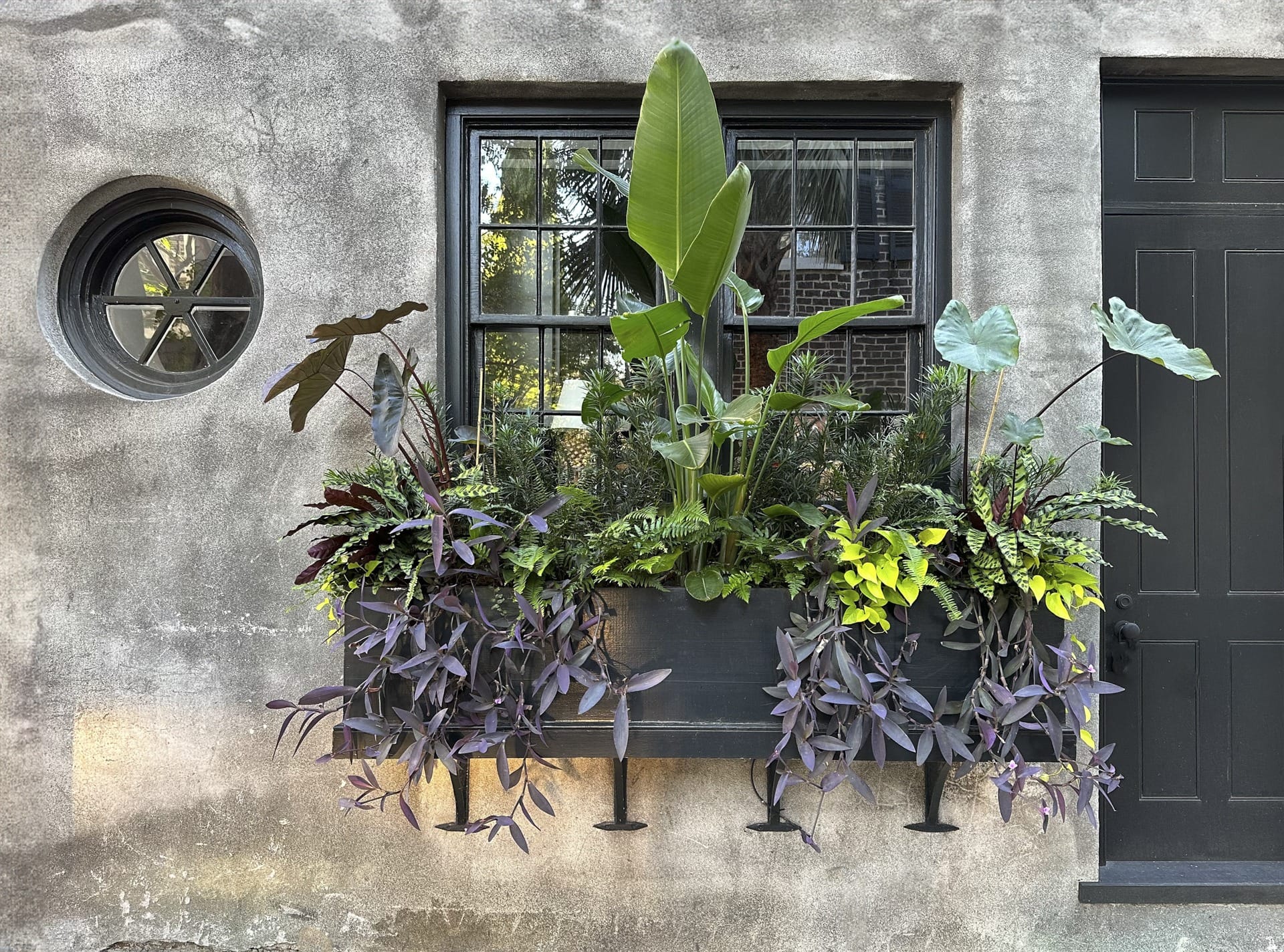 Nima Marsh Img 2262 Nimamarsh