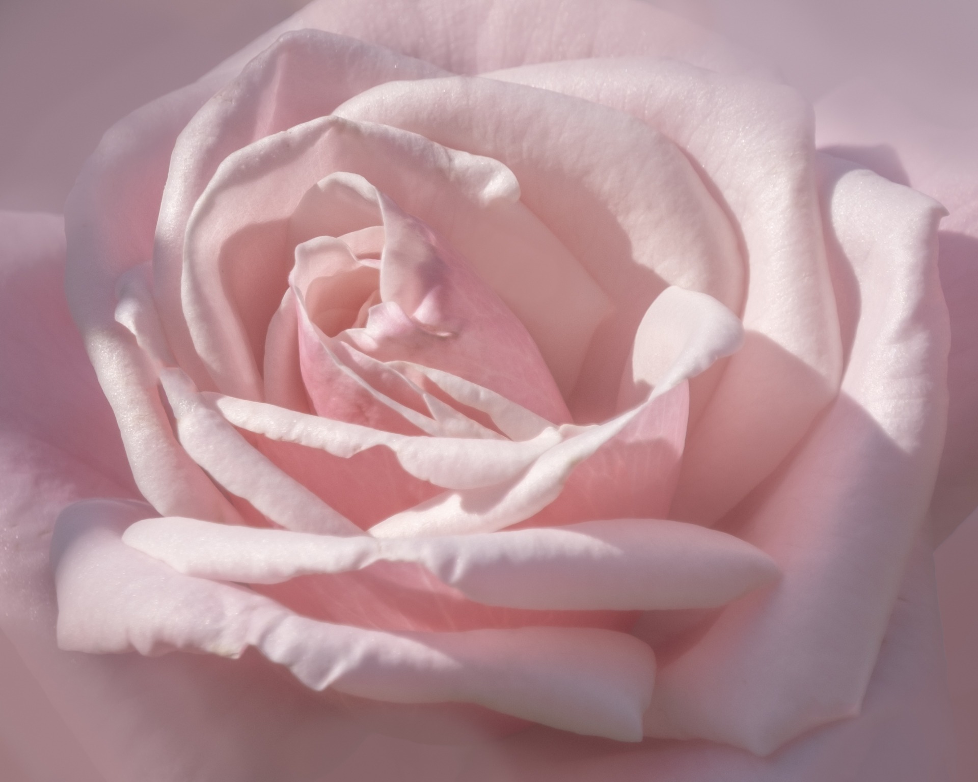 Nima Marsh DSF2870 Edit Edit 2