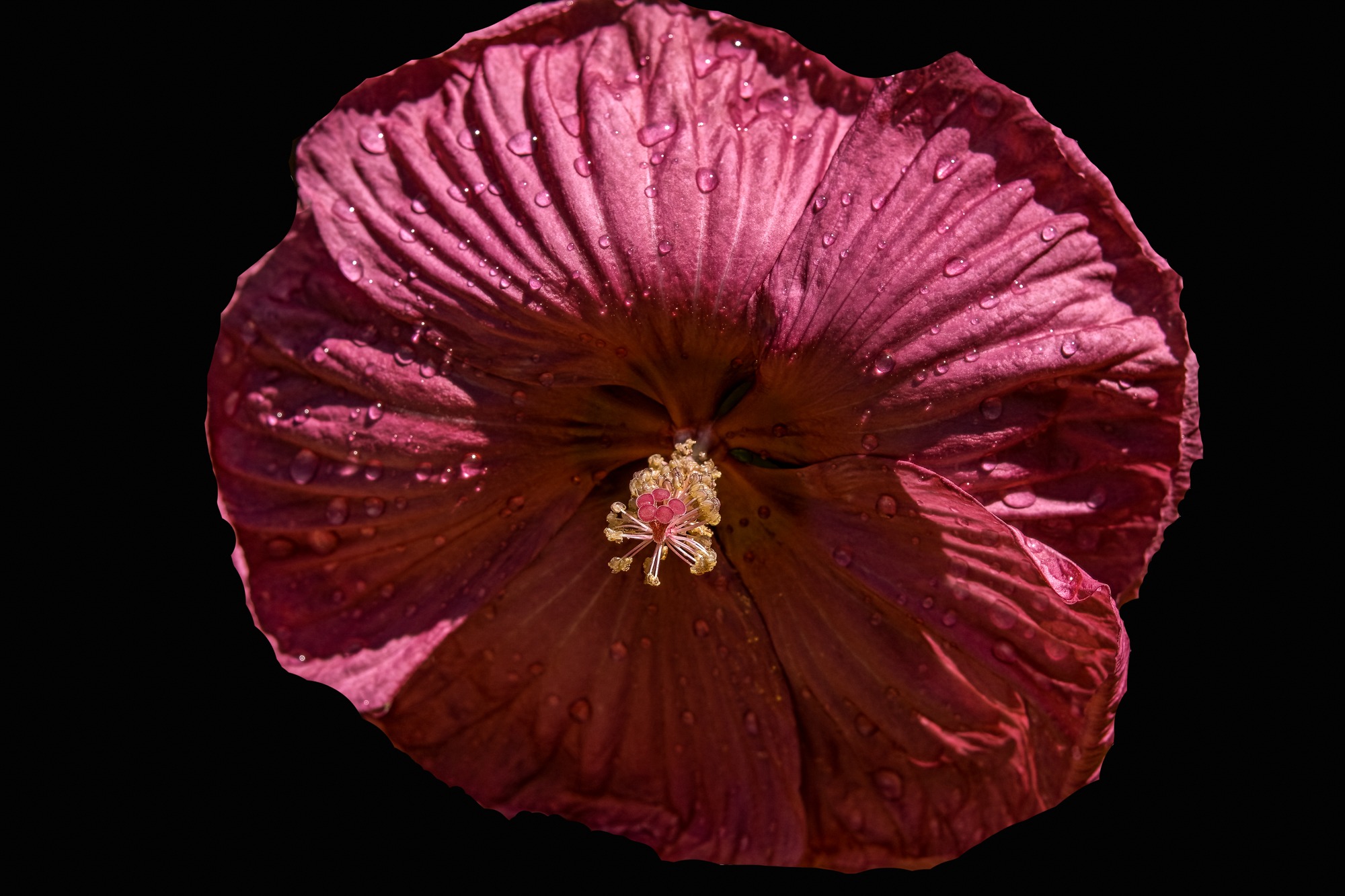 O19_9805-Edit-2-Edit-Edit