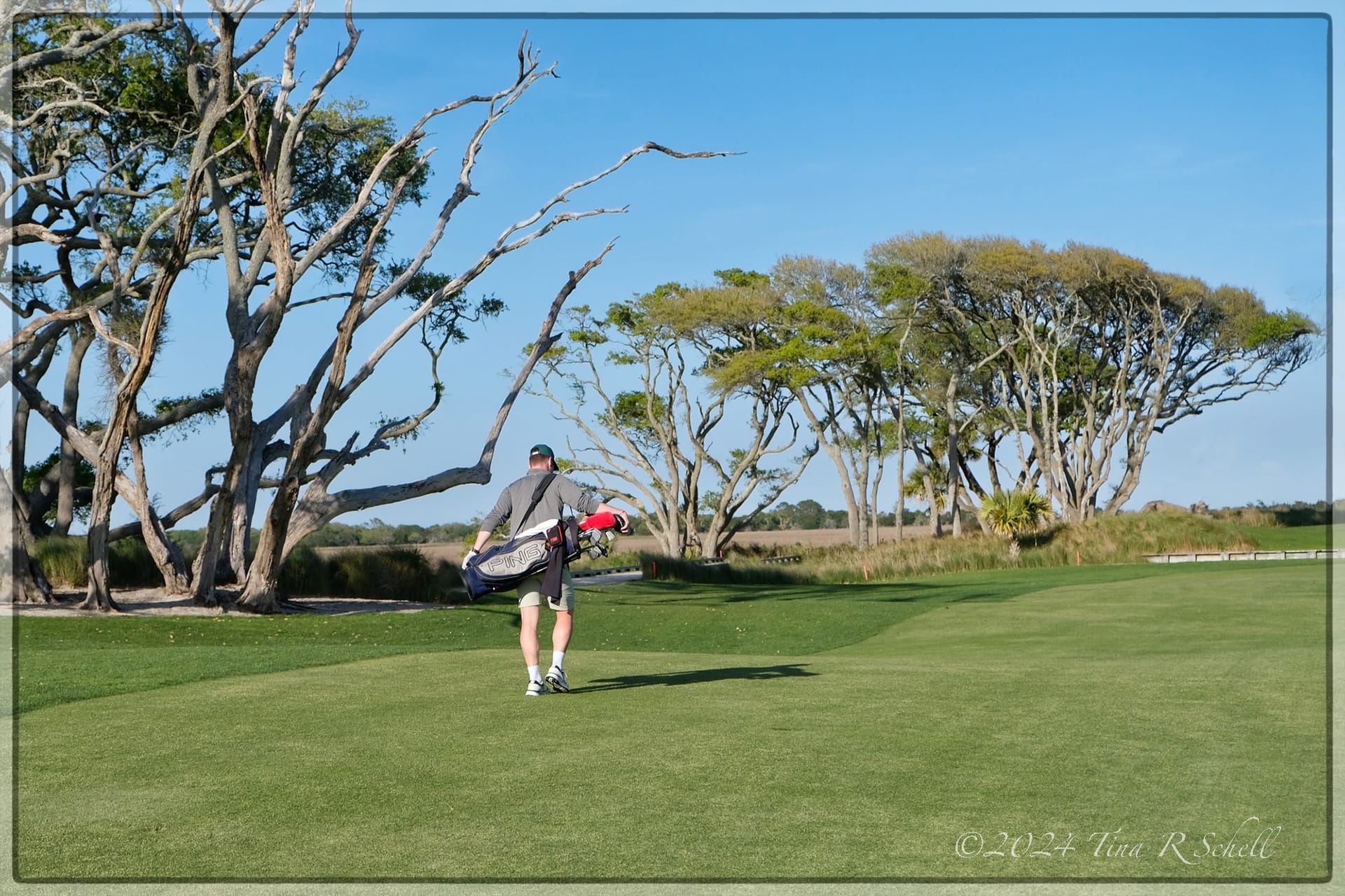 Tina Schell Late Day Golfer, Schell