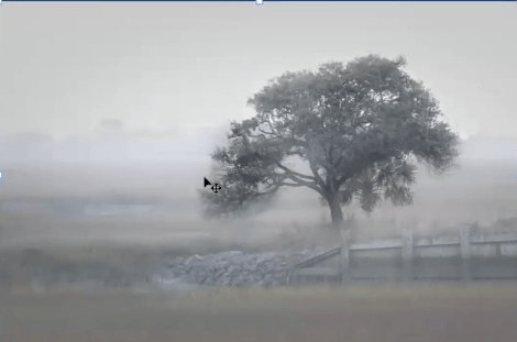 Tony Sweet Critique THumbnail