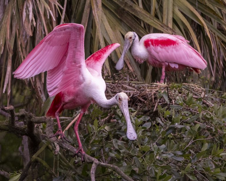 Trayce Fenton DSCF8845 Edit Trayce Fenton